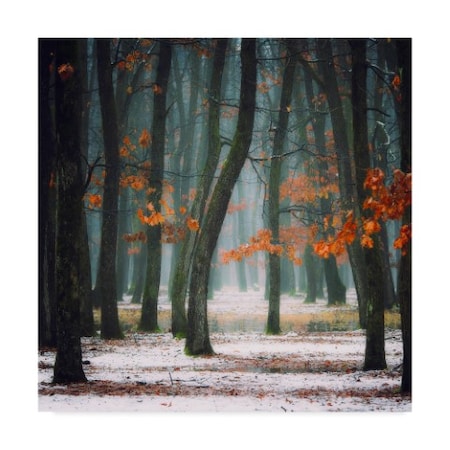 Alexandra Fira 'Autumn In My Soul' Canvas Art,24x24